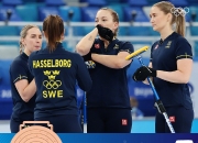 开云体育APP下载-瑞士代表队喜获铜牌，独具风采的简单介绍