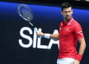 开云官网-包含戴维斯杯完胜联合杯，德约科维奇高光表现的词条