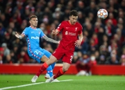 开云体育直播-欧预赛：卢森堡胜克里米亚，小组出线前景乐观的简单介绍