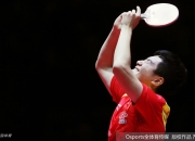 开云体育中国官网-关于奥地利队翻盘韩国队，梁靖崑关键制胜的信息