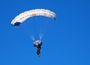 开云体育-雄鹿末节带走尼克斯，文班亚马大场面先生