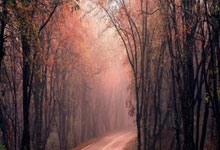 开云体育中国-国王大胜爵士，海尔德分率队击败东部劲旅的简单介绍