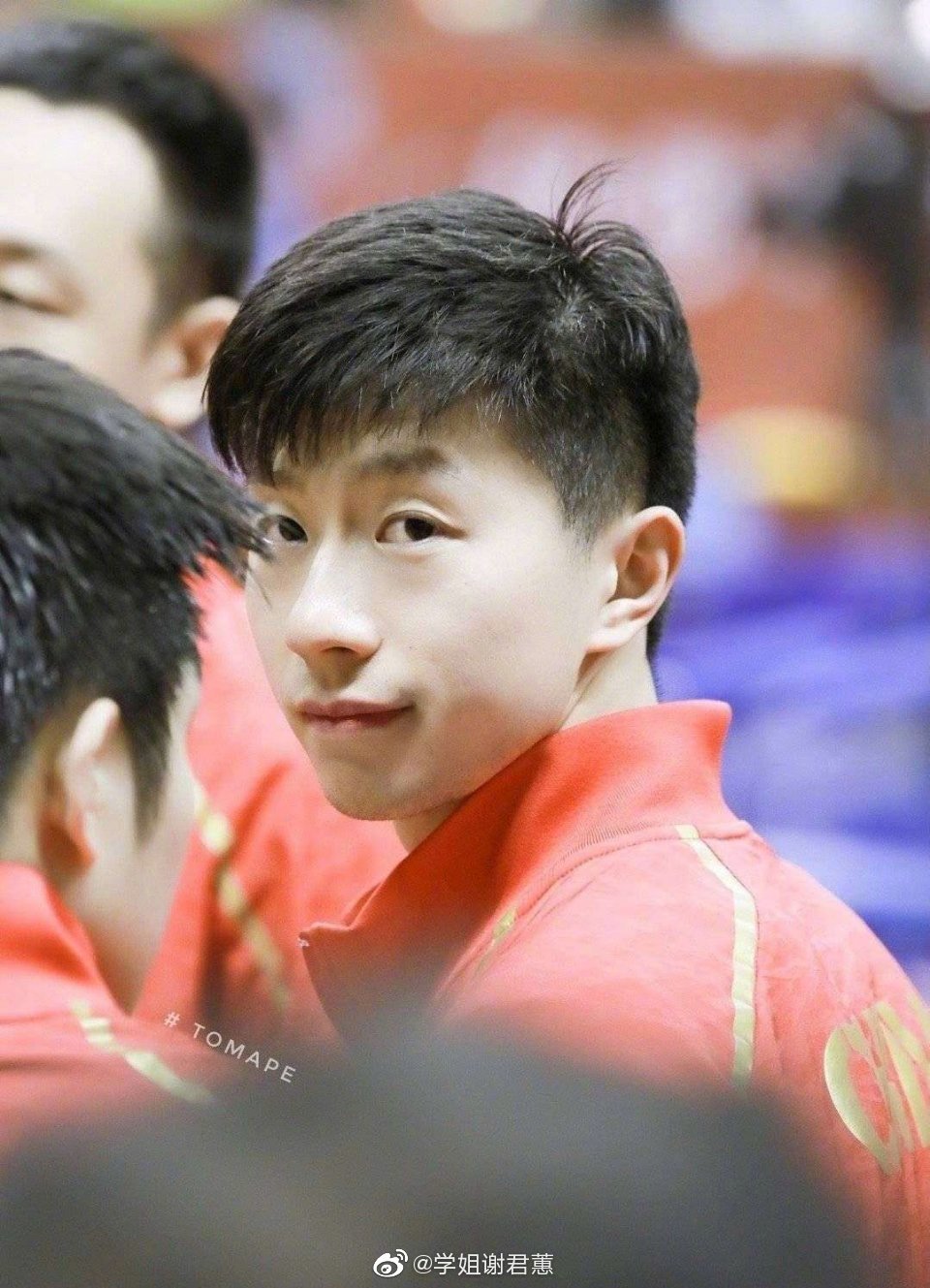 波兰队碾压奥地利队，张继科惊艳四座的简单介绍