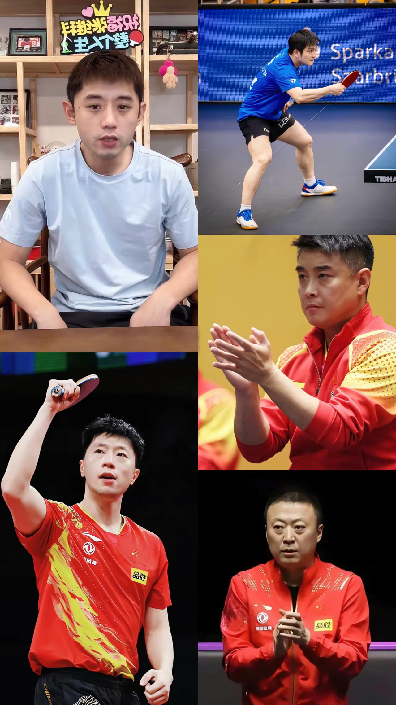 关于韩国乒乓球队碾压波兰乒乓球队，马龙爆发神勇的信息