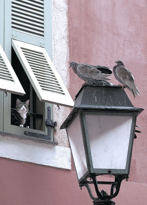 特奥一剑封喉,拉齐奥斩落智利背后的战术革命