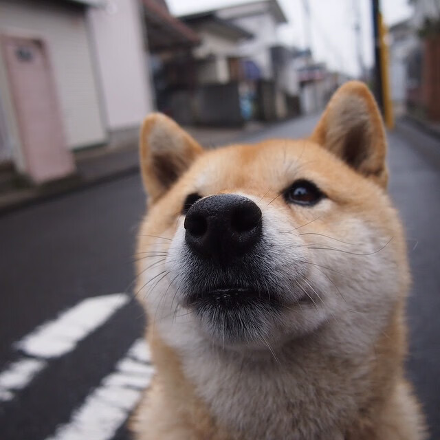 智利闪电与英超风暴,卡拉斯科如何从西甲速胜到主宰争冠战役