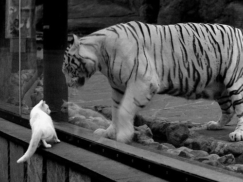 毕尔巴鄂的钢铁森林中，迪马利亚如何用手术刀般的传球切开莱比锡的机械防线？